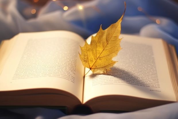 2023东莞理工学院的光电信息科学与工程专业分数线高不高 东莞理工学院光电信息科学与工程专业历年分数线参考表单