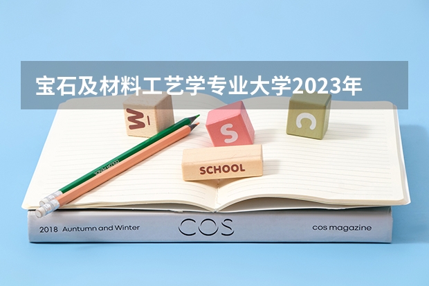 宝石及材料工艺学专业大学2023年排名 2023年宝石及材料工艺学专业前十名大学有哪些