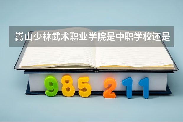 嵩山少林武术职业学院是中职学校还是高职学校 嵩山少林武术职业学院学校简介