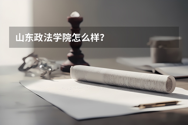 山东政法学院怎么样？