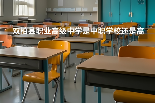 双柏县职业高级中学是中职学校还是高职学校 双柏县职业高级中学学校简介