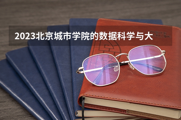 2023北京城市学院的数据科学与大数据技术专业分数线高不高 北京城市学院数据科学与大数据技术专业历年分数线参考表单