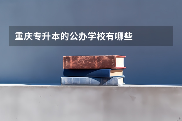 重庆专升本的公办学校有哪些